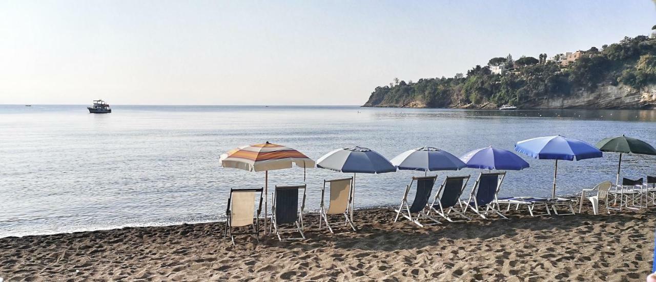 Calise Guest House Procida Kültér fotó